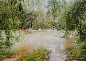 Cedar Creek After Rain