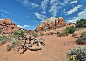 Juniper Shelf Traverse