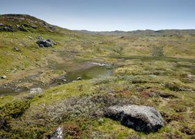 Lichen Valley